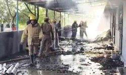 Hindistan'da havai fişek fabrikasında patlama: 23 ölü, çok sayıda yaralı