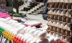 İhracat durdu yumurta fiyatları geriledi