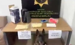 İskenderun'da uyuşturucu operasyonu: 2,4 kilogram sentetik madde ele geçirildi