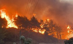 İstanbul Beykoz'da orman yangını: Alevler yeniden yükseldi