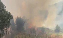 İstanbul Beykoz'da ormanlık alanda yangın 