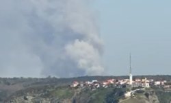 İstanbul'da iki ilçede çıkan orman yangınları kontrol altına alındı