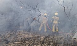 İstanbul'un 2 ilçesinde çıkan orman yangınları kontrol altına alındı