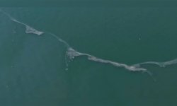 İzmir Körfezi'nde kirlilik alarmı