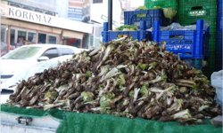 İzmir'de kenger otu tezgâhlarda yerini aldı