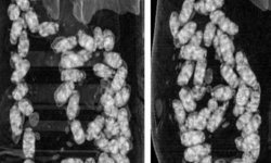 İzmir'de uyuşturucu operasyonu: 2 tutuklama