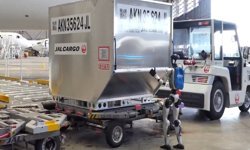 Japonya havalimanlarında insansı robotlar dönemi başlıyor