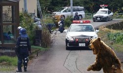 Japonya'da ayının polise saldırmasıyla, kayıp kadının cesedi bulundu