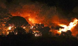 Japonya'da orman yangınları günlerdir sürüyor: Bin hektar alan küle döndü