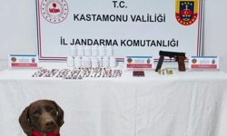 Kastamonu'da uyuşturucu operasyonunda bir kişi tutuklandı
