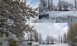 Konya'nın bazı ilçelerinde kar yağışı etkili oldu