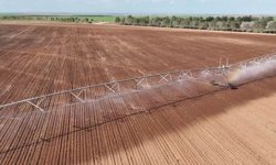 Koyunbaba Barajı Sulaması'nda çalışmalar sürüyor