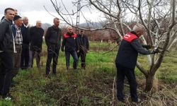 Malatya'da çiftçilere uygulamalı budama eğitimi verildi