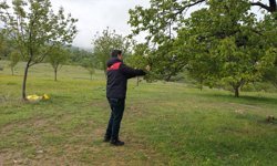 Malatya'da dolu sonrası hasar tespit çalışmalarına başlandı