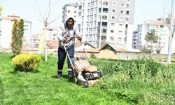 Malatya'da park ve yeşil alanlar yaz sezonuna hazırlanıyor