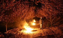 Malatya'da zirai don alarmı: Çiftçiler ateşle önlem aldı