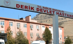 Mardin'de başhekim ve sekreterine saldıran zanlıya ev hapsi verildi