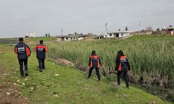 Mardin’de kaybolan yaşlı kadın için arama çalışmaları sürüyor