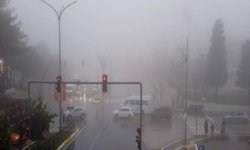 Mardin'de yoğun sis etkili oldu