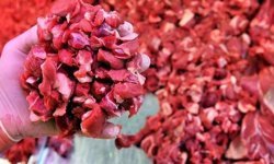 Mersin'de gıda skandalı: Kırmızı et diye satılan ürünlerde at eti tespit edildi