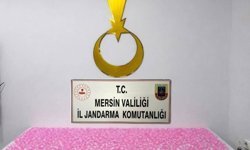 Mersin'de uyuşturucu operasyonu: 2 tutuklama