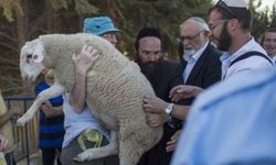 Mescid-i Aksa'da tehlikeli plan: 7 kurban girişimi siyonist projeyi gözler önüne serdi