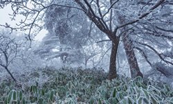 Meteorolojiden Konya ve çevresi için zirai don uyarısı