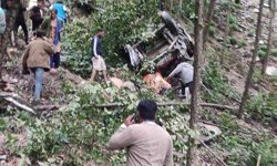 Nepal'de araç uçuruma yuvarlandı: 20 ölü