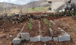 Öldürülen anne ve oğul Mardin’de yan yana defnedildi