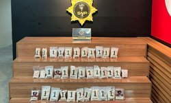 Şanlıurfa'da 34 bin adet uyuşturucu hap ele geçirildi