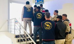 Şanlıurfa'da bağ evi hırsızlığı aydınlatıldı: 2 tutuklama