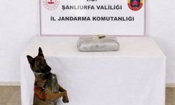 Şanlıurfa'da bir kilo 222 gram uyuşturucu ele geçirildi