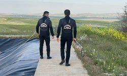 Şanlıurfa'da gölete düşen tilki kurtarıldı