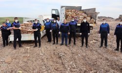 Şanlıurfa'da sağlıksız koşullarda depolanan 5 bin koli yumurta imha edildi