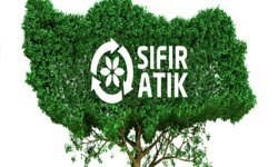 Sıfır atık hedefi ve geri dönüşümde son durum: Türkiye'de çevre politikalarının analizi