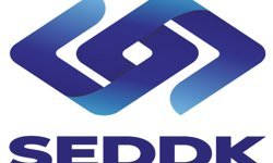 Sigorta operasyonunda 35 gözaltı