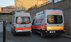 Siirt'te ağaç budarken kolunu kesen 70 yaşındaki adam kalp krizi geçirdi