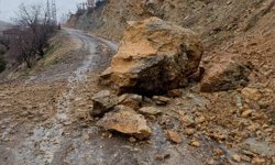 Siirt'te şiddetli yağış sel ve heyelana neden oldu