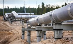 Sırbistan-Macaristan, doğal gaz boru hattı yakınlarında patlayıcı madde bulundu