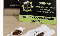 Şırnak'ta 610 milyon TL'lik kaçakçılık operasyonları