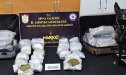 Sivas'ta 12,5 kilogram skunk ele geçirildi: 2 kişi tutuklandı