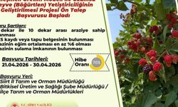 Sözleşmeli böğürtlen üretimi için ön talep başvuruları başladı