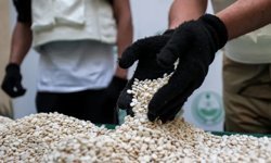 Sudan kaptagonun yeni merkezi mi? Savaş, çöküş ve karanlık ağlar