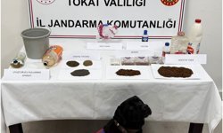 Tokat'ta uyuşturucu operasyonu: 8 şüpheli yakalandı