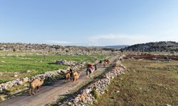 Toroslar'da kadim yolculuk: Sarıkeçililerin Yayla Göçü başladı