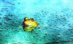 Uzmanlardan uyarı: Yapay zekâya güvenmek 'Haşlanan kurbağa' etkisiyle zihinsel becerileri köreltiyor