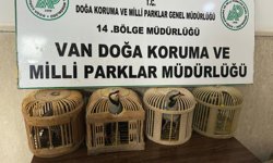 Van'da kafes avcılığı yapan kişiye 86 bin lira ceza kesildi