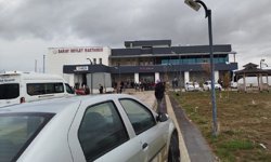 Van'da sokak köpeklerinin saldırısında 5 yaşındaki çocuk hayatını kaybetti