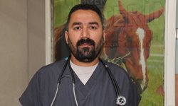 Veteriner hekimler, hak ettikleri değeri görmediklerinden şikâyetçi