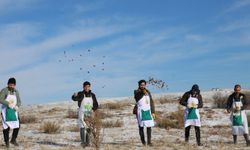Yozgat’ta ağaçlandırma çalışmaları kapsamında sedir tohumları toprakla buluşturuldu